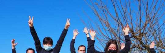 nuclei inclusione sociale lavorativa