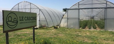L’azienda LE CASCINE