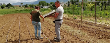agricoltura sociale - messa a terra