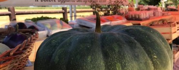 Presentazione raccolti Fattoria sociale