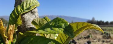 agricoltura sociale