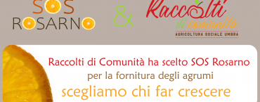 sos rosarno raccolti di comunita