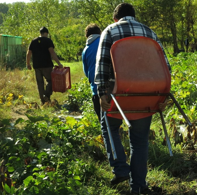 Ragazzi di Oasi Agricola che camminano con le sedie