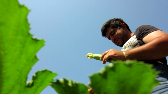 Ragazzo della comunità di Oasi Agricola