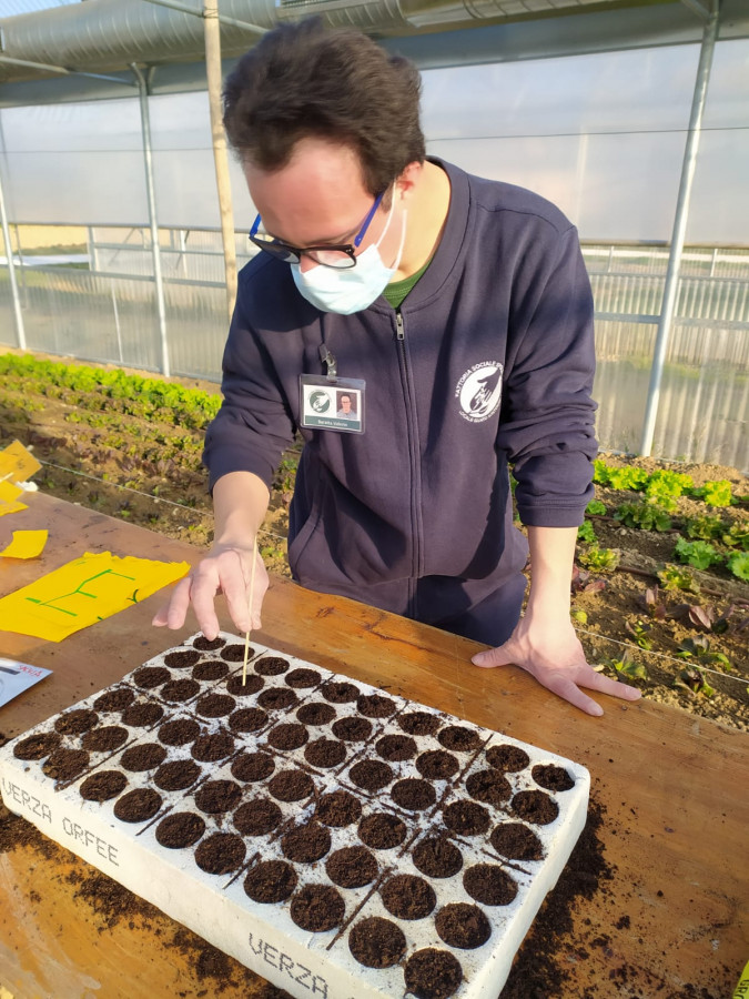 fattoria sociale ragazze e ragazzi al lavoro