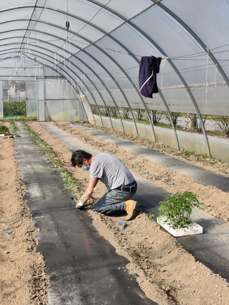 le cascine bio agricoltura