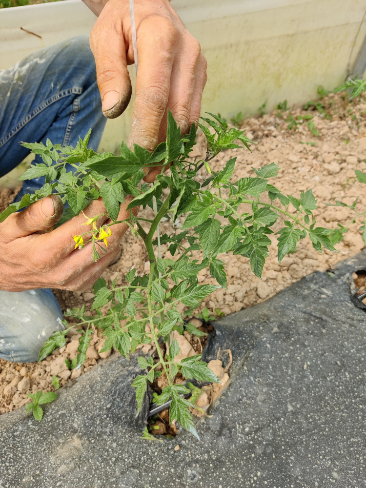 le cascine bio agricoltura