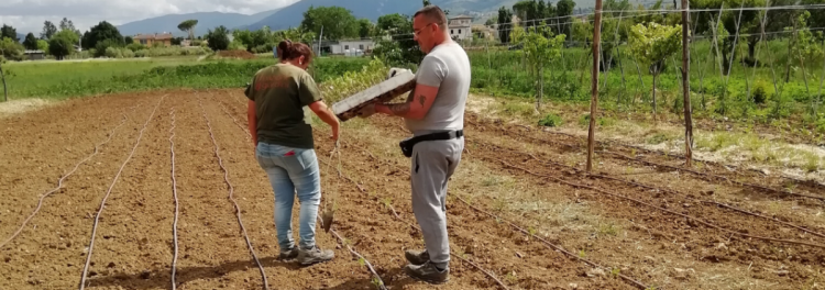 Agricoltura sociale Ariel