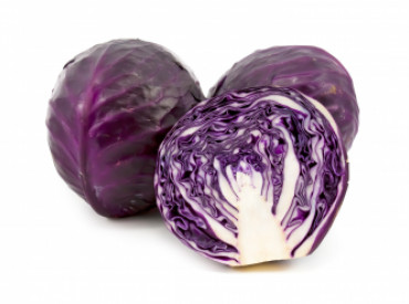 cavolo cappuccio viola Folignate