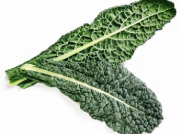 cavolo nero