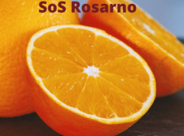 arance navel sos rosarno