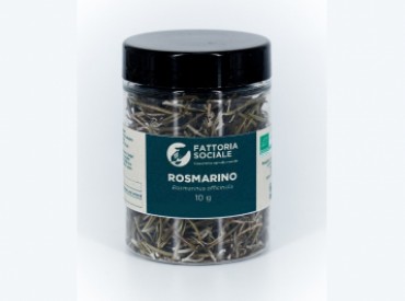 Rosmarino essicato