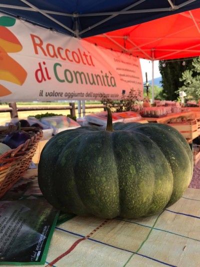 Presentazione raccolti Fattoria sociale