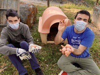 racconti di comunità