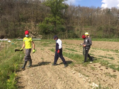 Agricoltura Social