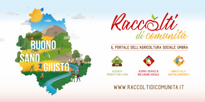 ariel cooperativa sociale