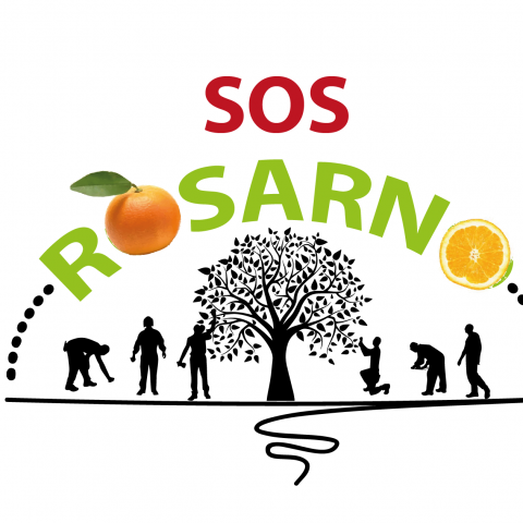 albero della solidarietà