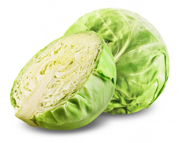 cavolo cappuccio bianco Folignate