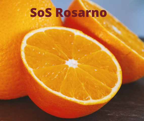 arance navel sos rosarno