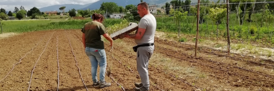 Agricoltura sociale Ariel