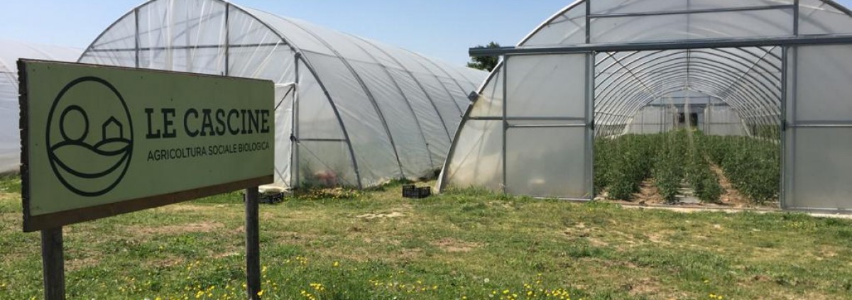 L’azienda LE CASCINE
