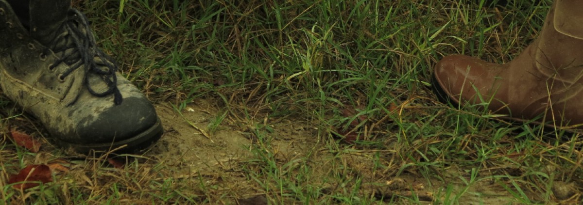 coi piedi sulla terra