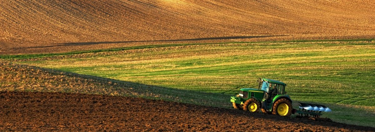 Agricoltura