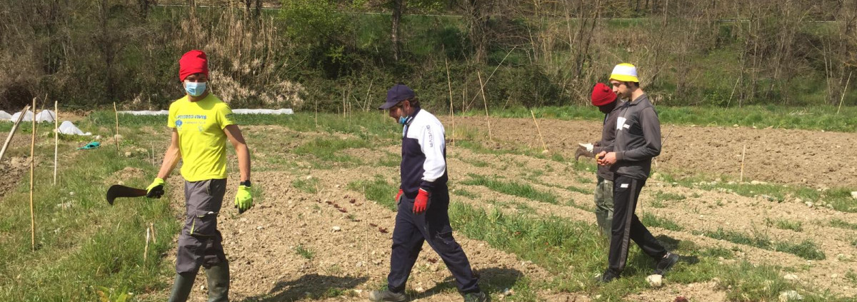Agricoltura Social
