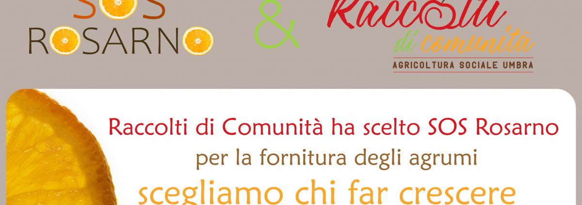 sos rosarno raccolti di comunita